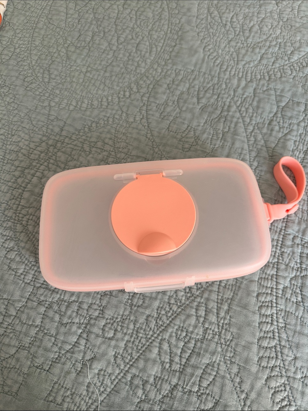 Skip hop Silicone Wipe Case with Pop Lid - Coral Pink